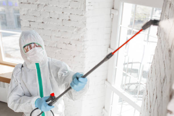 Mold Removal for HVAC Installations in Olyphant, PA